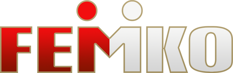 FEMKO Logo